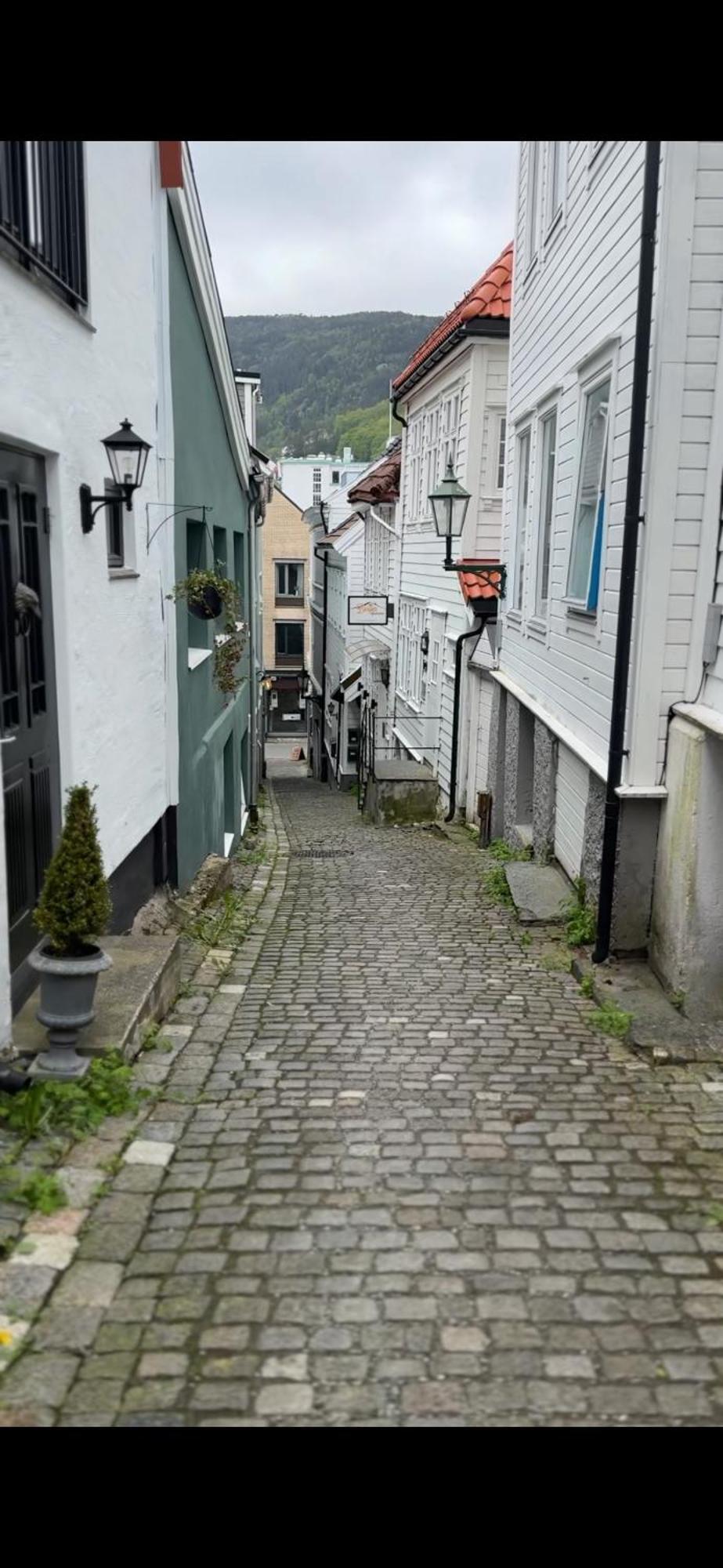 The Dreamhouse - Inner City Center - Old Town Bergen Exterior photo